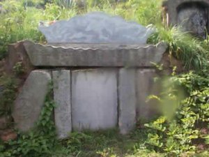 林彪祖坟墓地风水图解