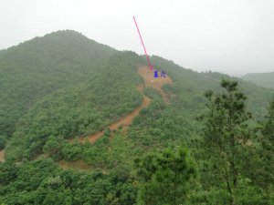 坟地草