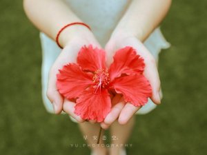 11月24日感恩节应该提倡过