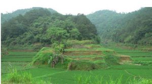 阴地风水选择：选到风水宝地要注意三点