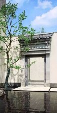 前不栽桑，后不栽柳，植物风水知多少？